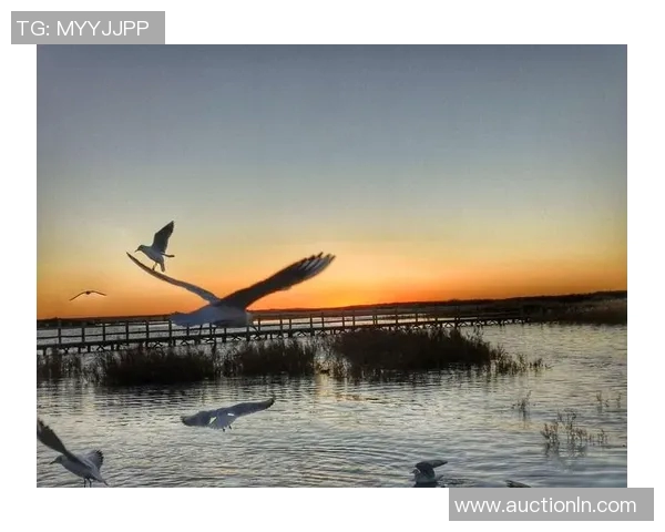 小春ACE的成长之路与梦想追逐：从平凡到卓越的蜕变故事