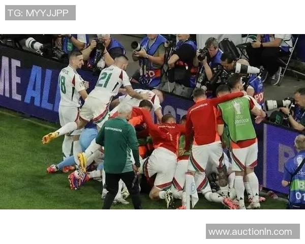 欧洲杯:匈牙利队输球无缘晋级,历史机遇再度失落 欧洲杯:匈牙利队输球无缘晋级,历史机遇再度失落