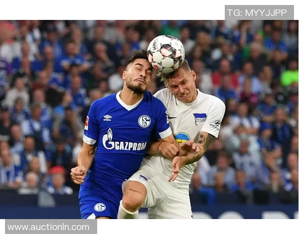 沙尔克04德甲之旅告急，遭遇连败颓势难挽损失俱乐部声誉